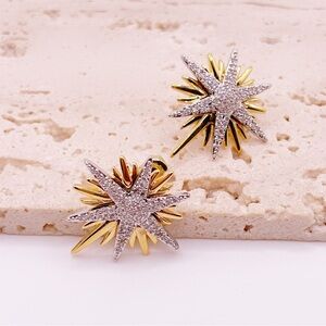 Mixed Metal Earrings
